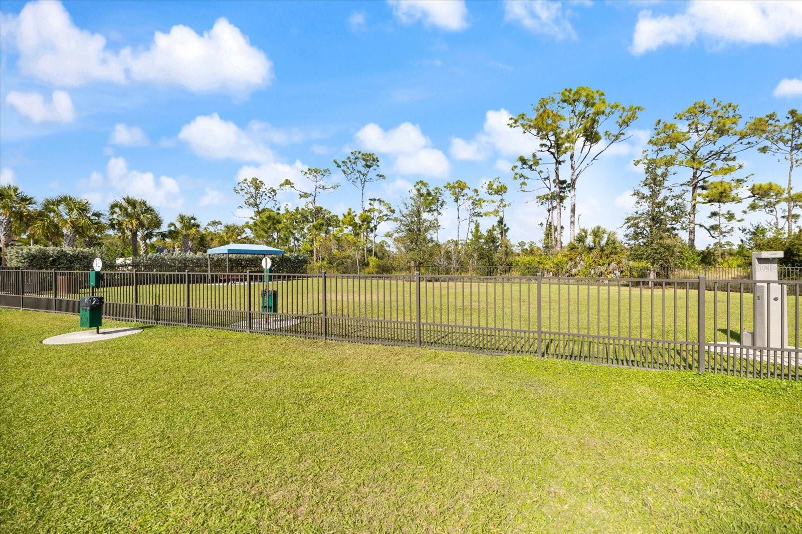 Image 39 of 45 For 208 Brienza Loop