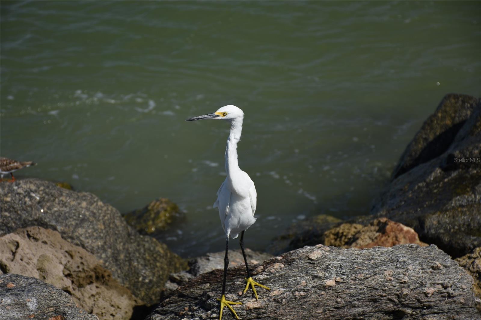 Image 73 of 74 For 1833 Lancashire Drive