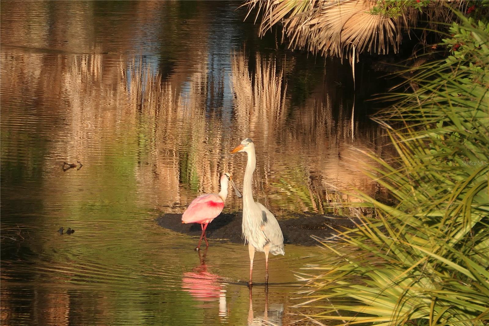 Image 52 of 82 For 484 Marsh Creek Road