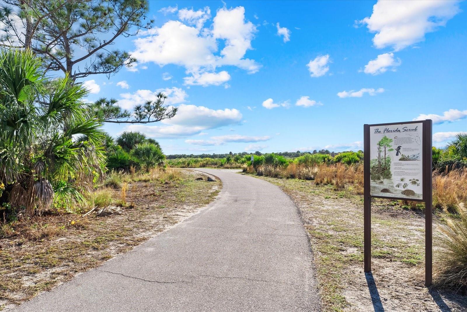 Image 56 of 68 For 2701 Shamrock Drive