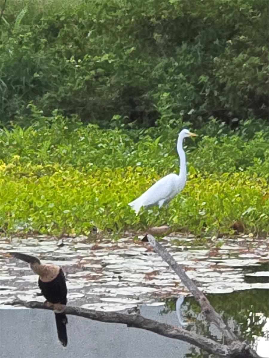 Image 43 of 43 For 3534 Tundra Road