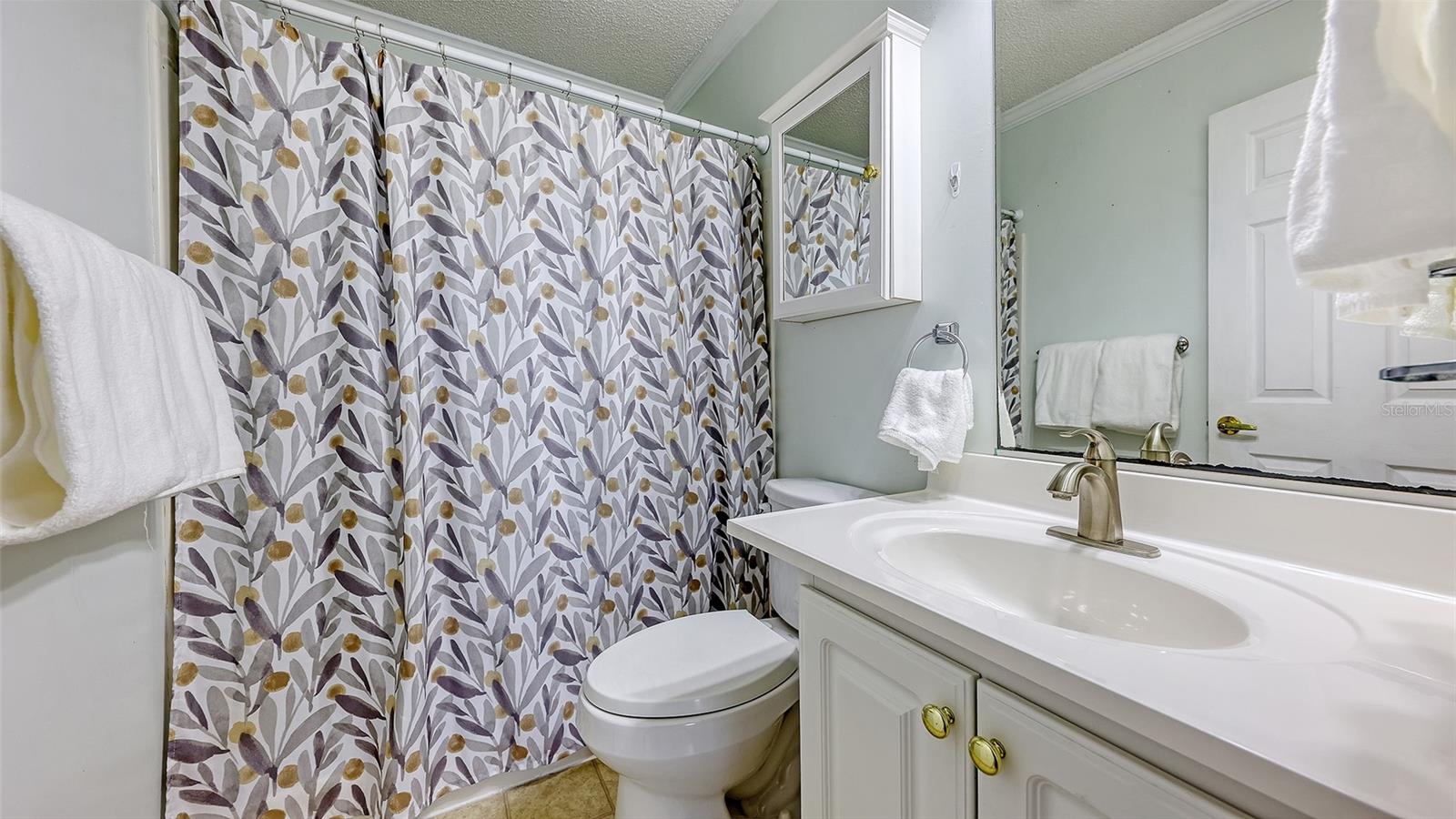 Image 12 of 43 For 11 Erskine Drive