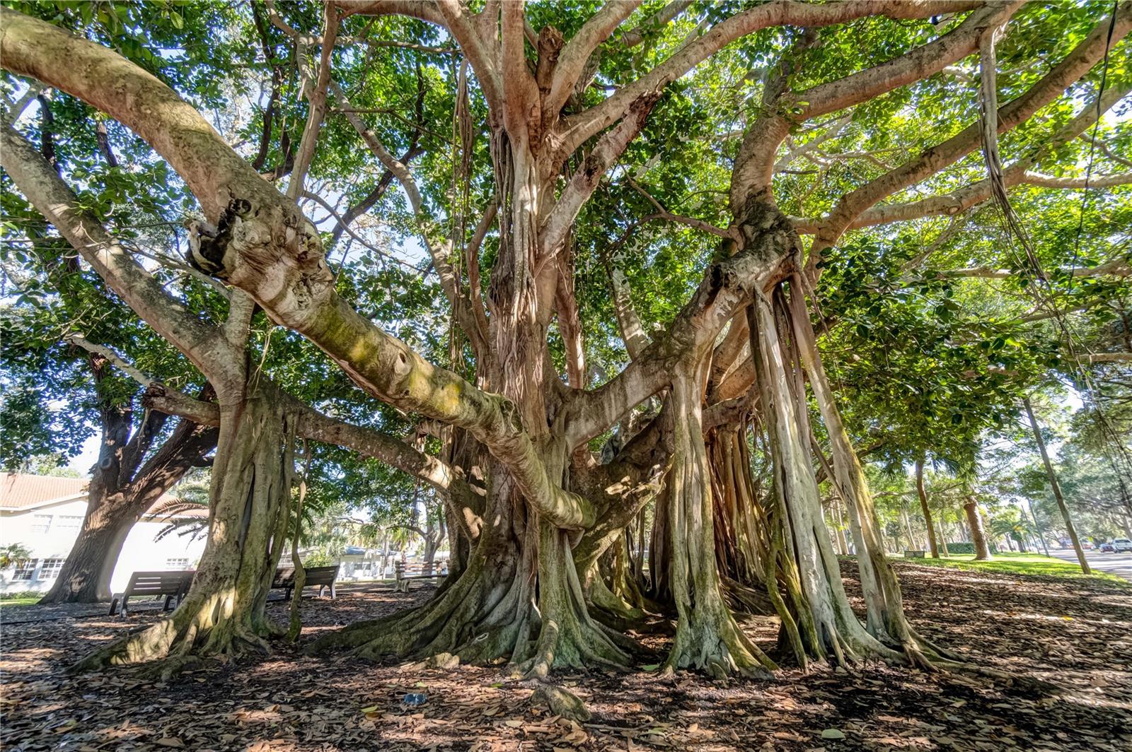 Image 33 of 42 For 236 Harbor Drive S 202