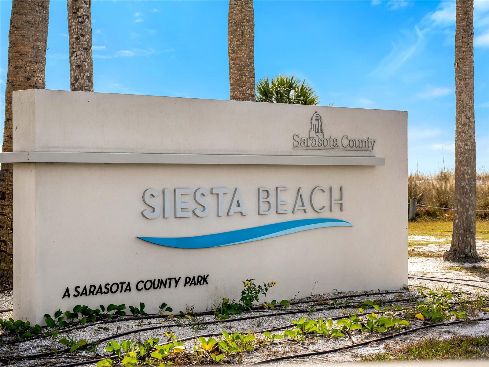 Image 38 of 53 For 3851 Wilshire Drive 9