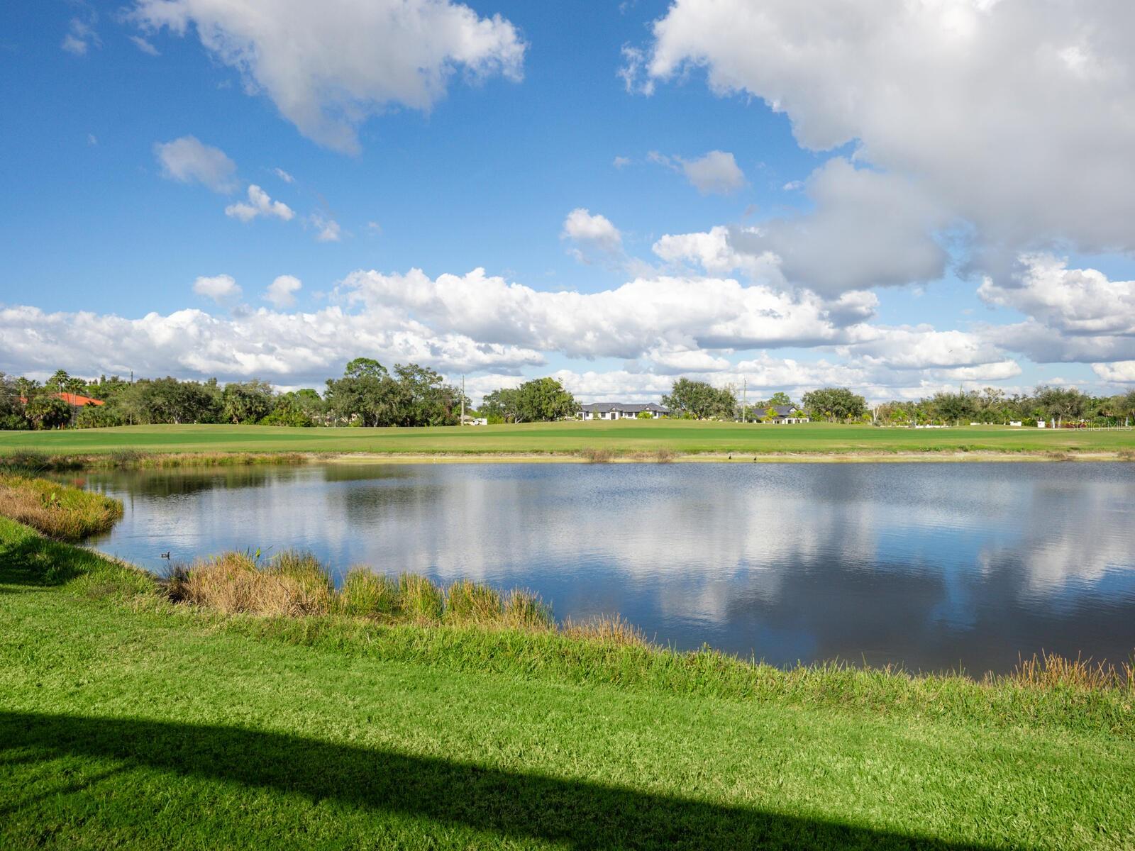 Image 7 of 38 For 814 Adonis Place