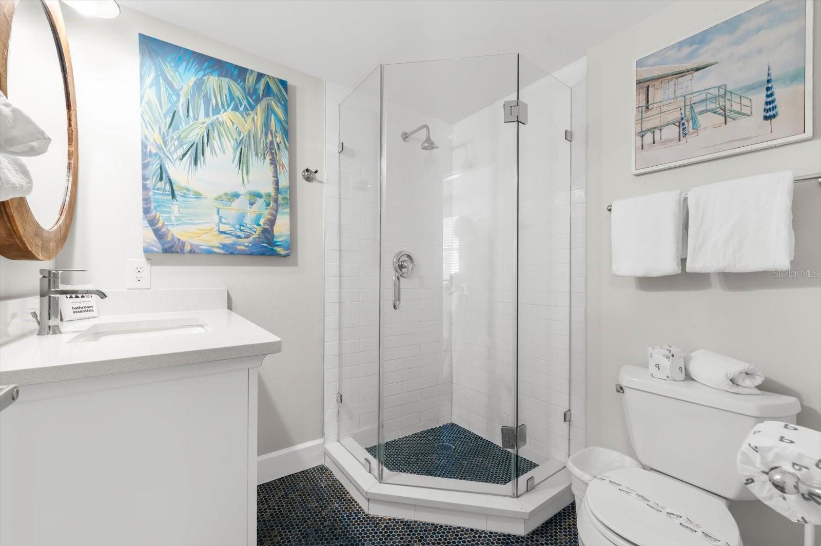 Image 47 of 72 For 355 Calle Miramar