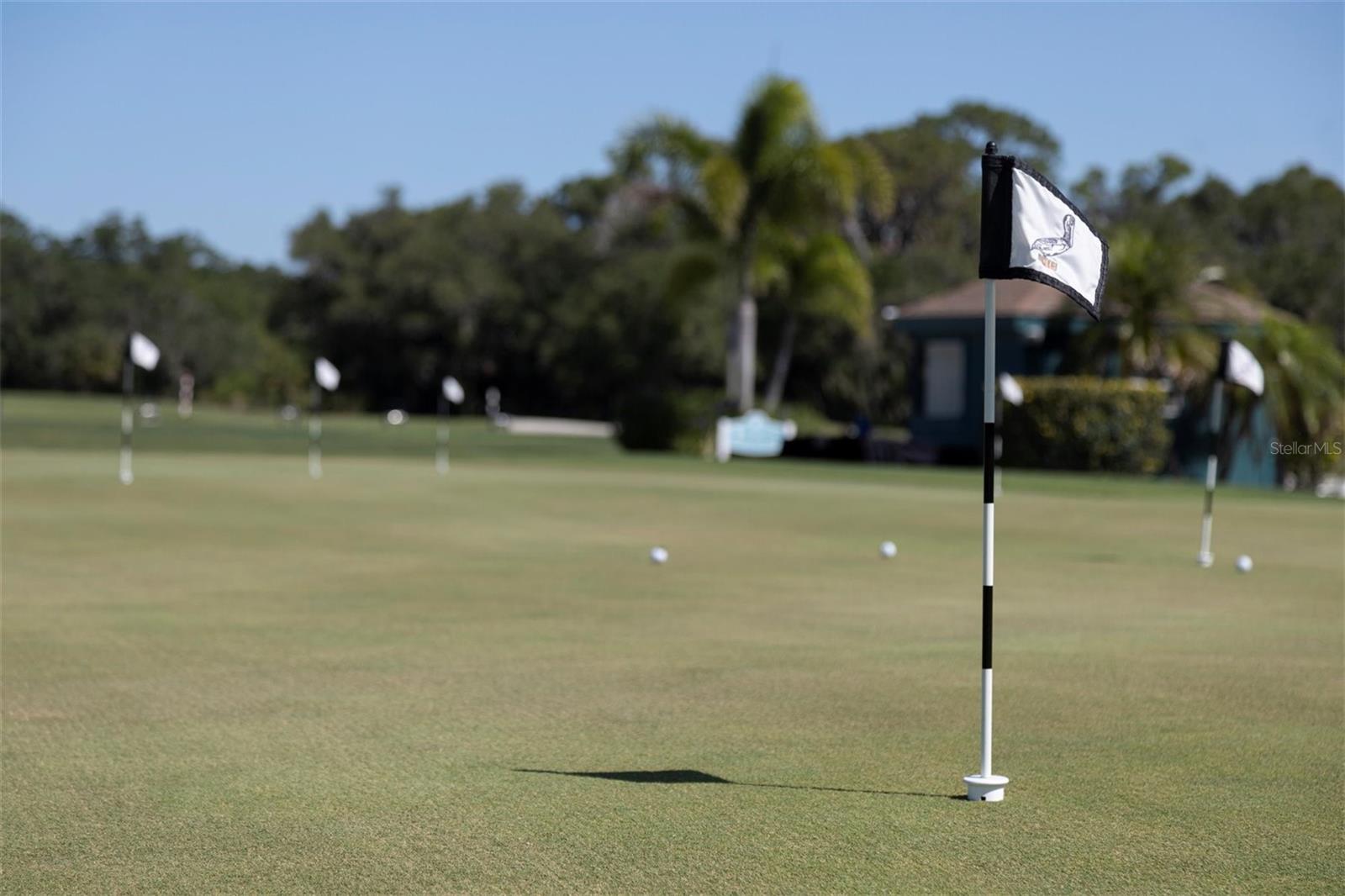 Image 83 of 100 For 711 Back Nine Drive