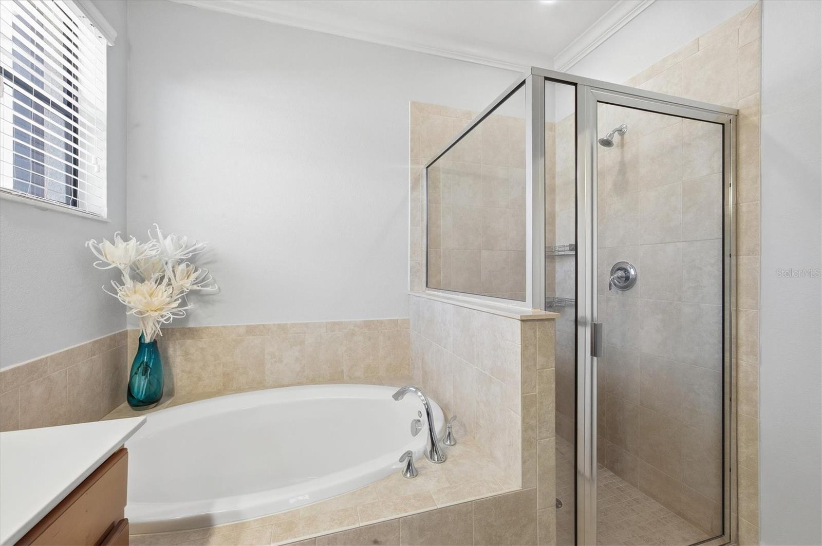 Image 22 of 82 For 20211 Granlago Drive