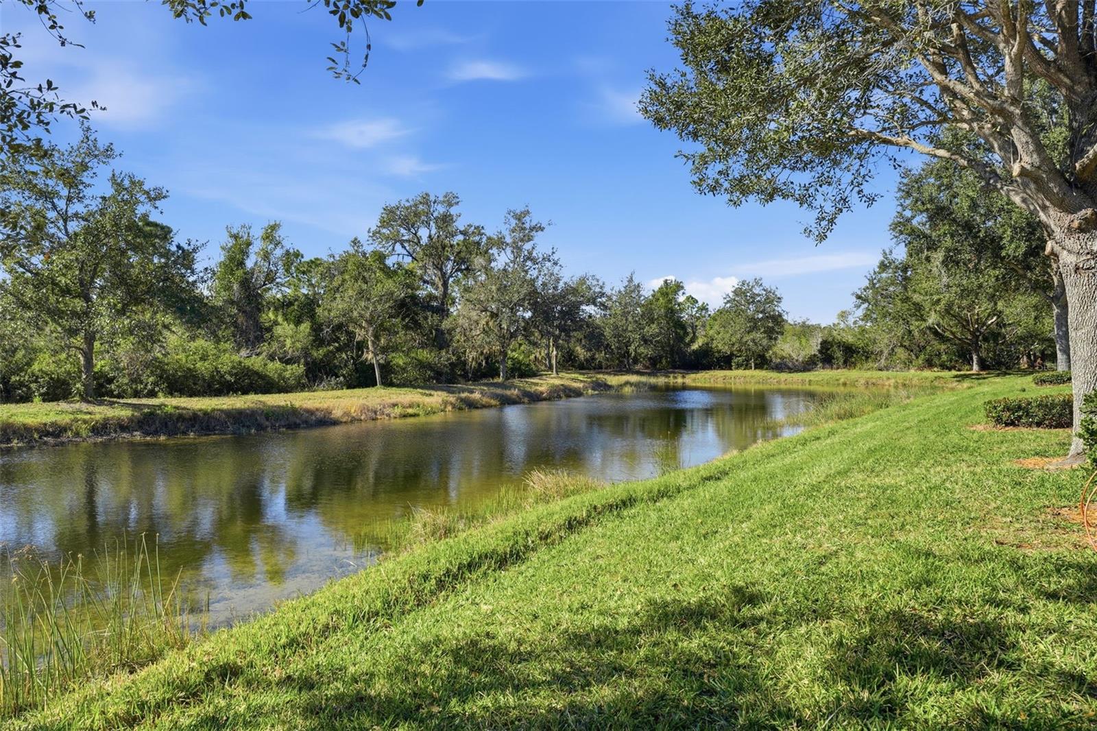 Image 28 of 51 For 9419 Carnaby Drive