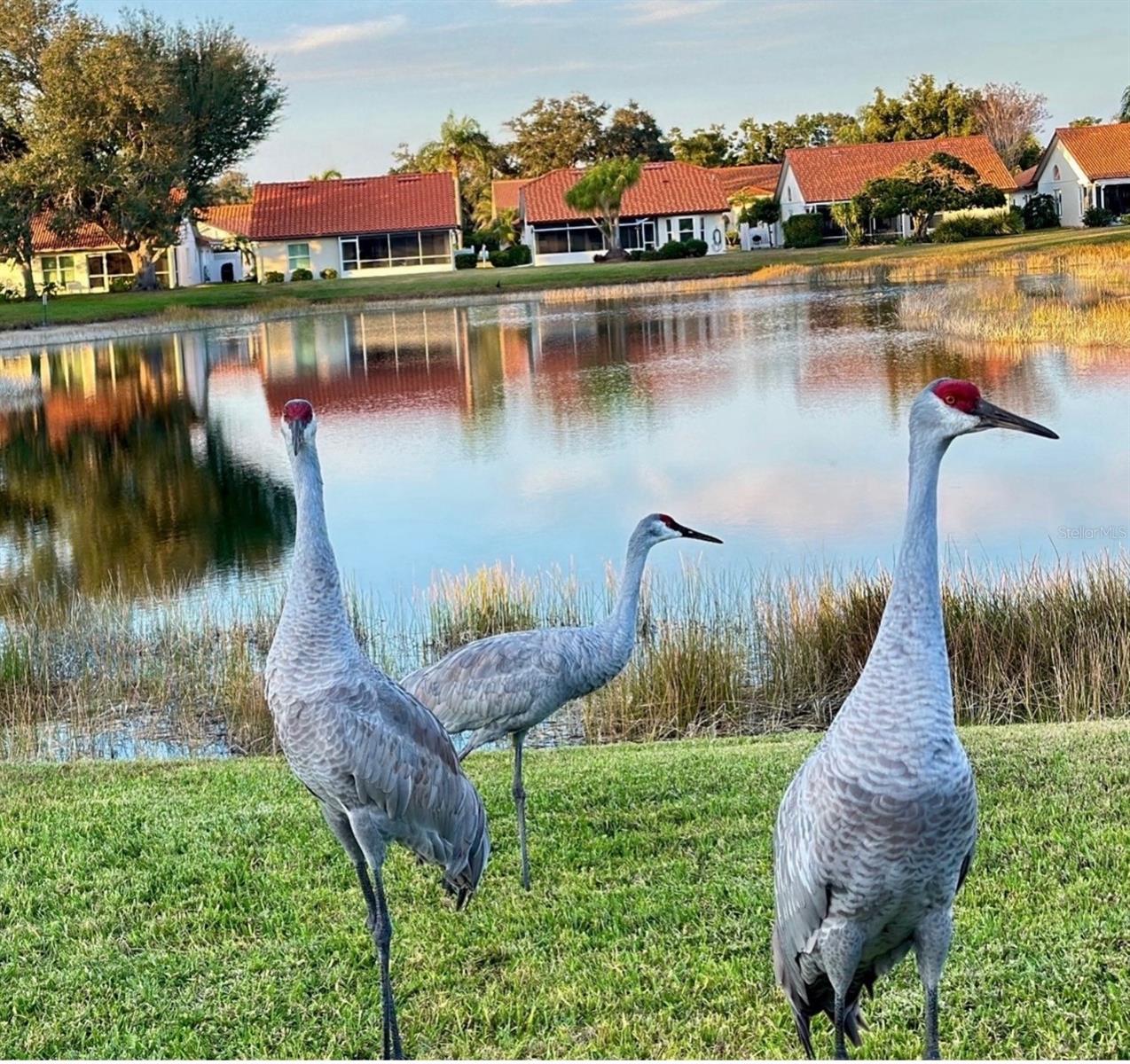 Image 39 of 43 For 4925 Pepperwood Place