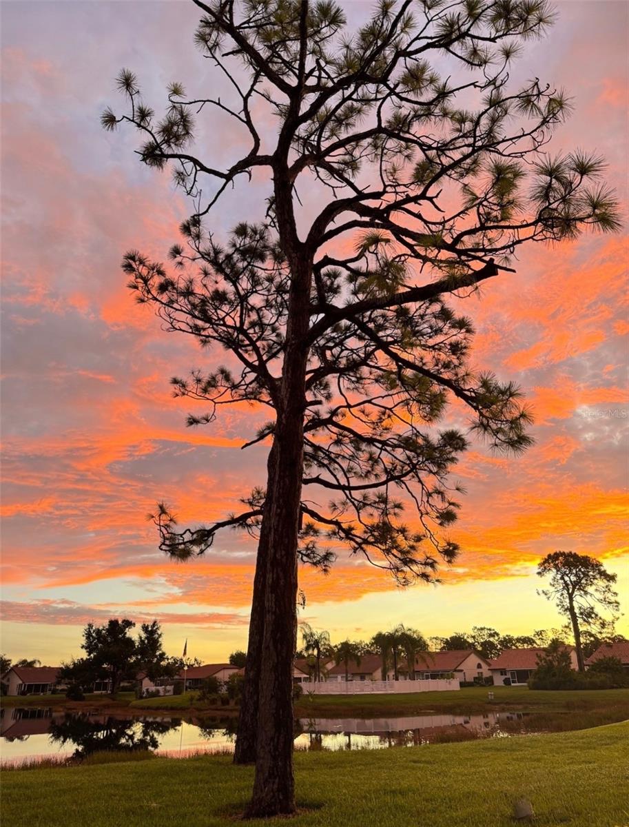 Image 42 of 43 For 4925 Pepperwood Place