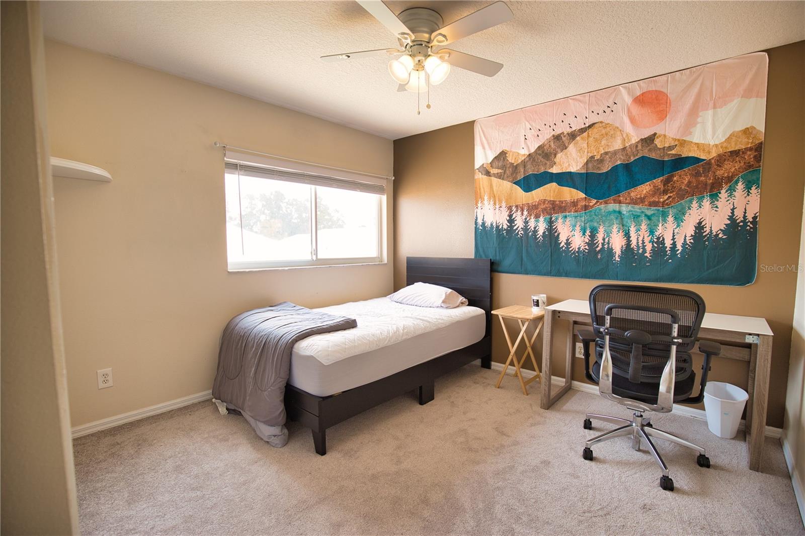 Image 26 of 40 For 175 Braemar Avenue