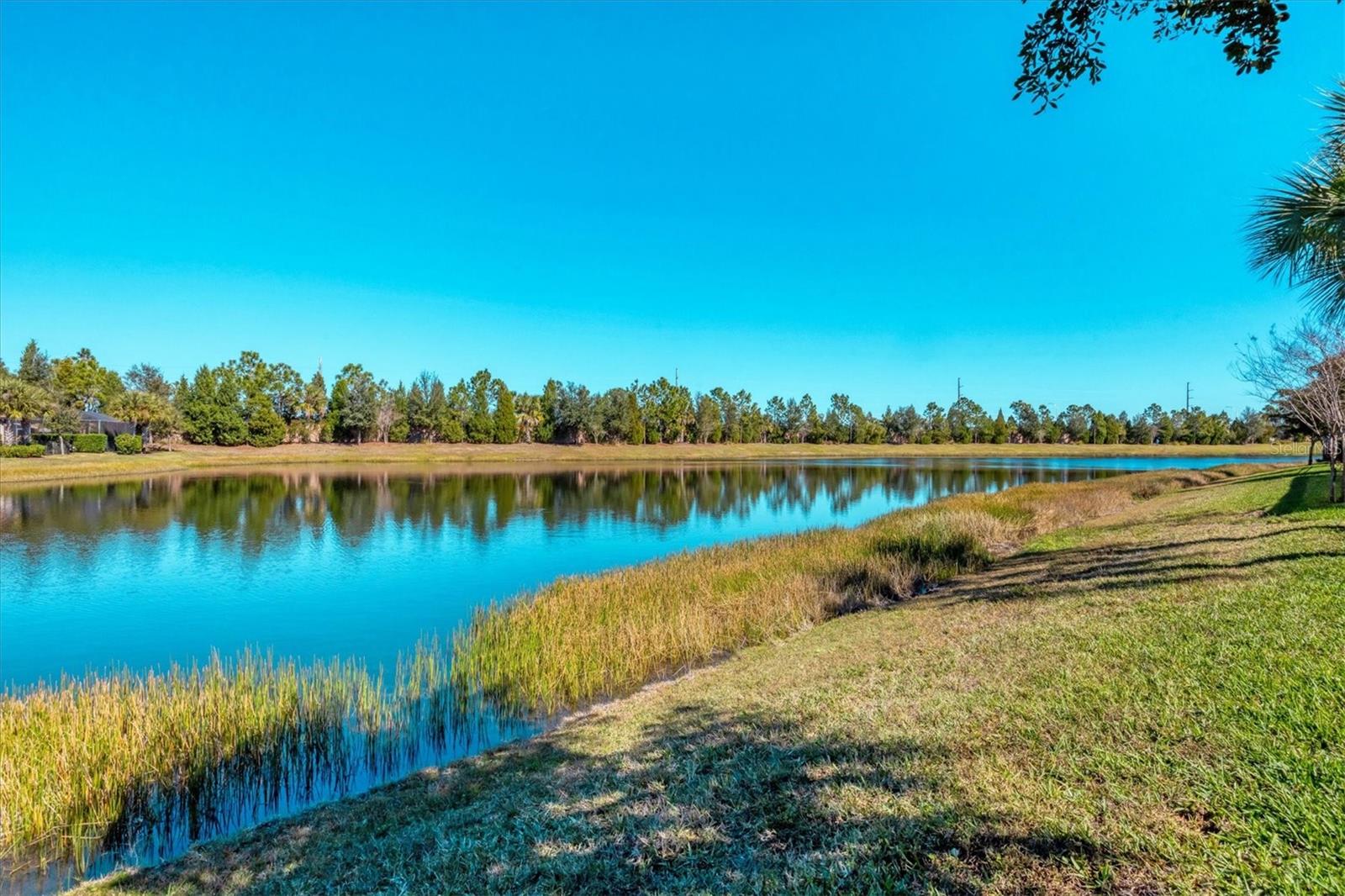 Image 34 of 67 For 6713 Chester Trail