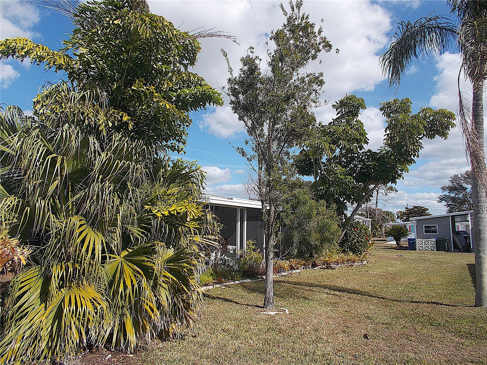 Image 29 of 32 For 467 Boxwood Drive