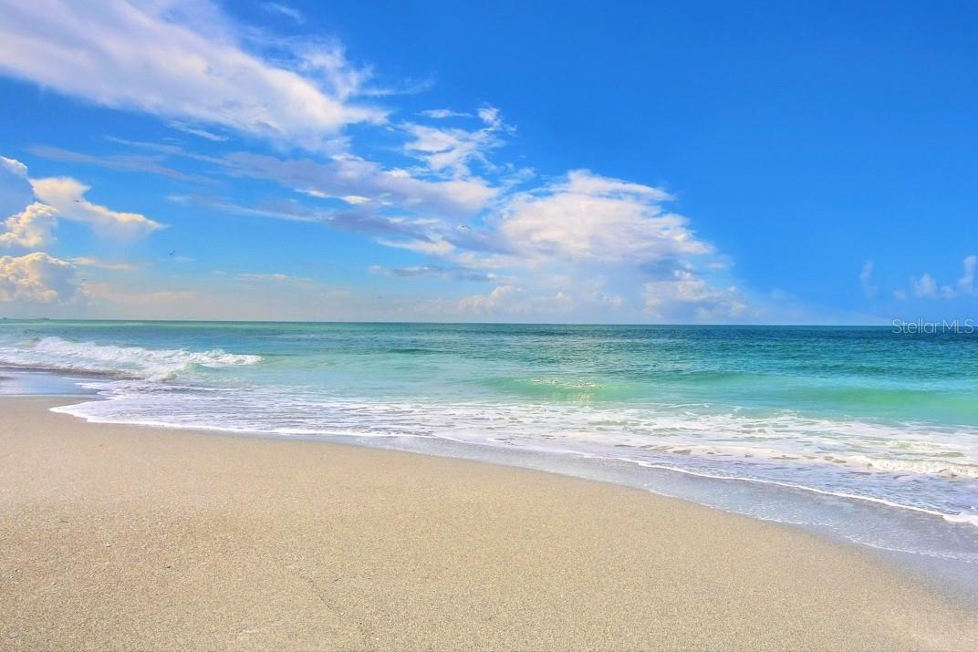 Image 56 of 58 For 1035 Topelis Drive