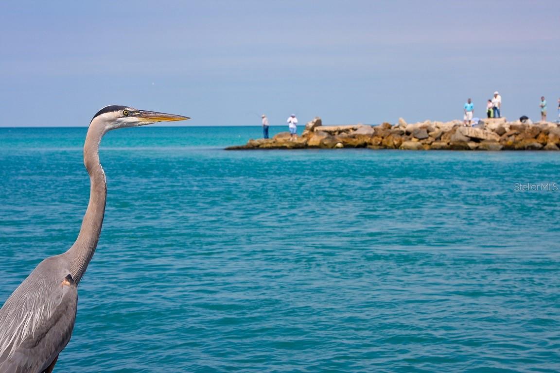 Image 58 of 58 For 1035 Topelis Drive