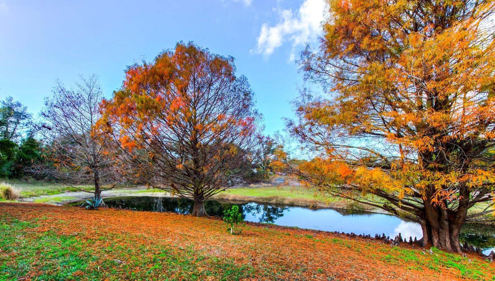 Image 34 of 63 For 4024 Landor Court