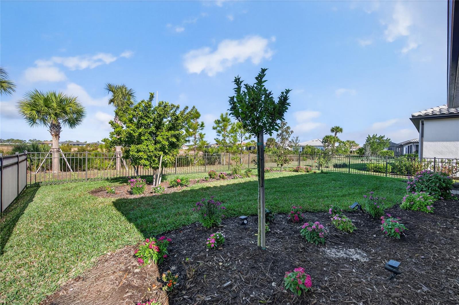 Image 11 of 100 For 6188 Talon Preserve Drive