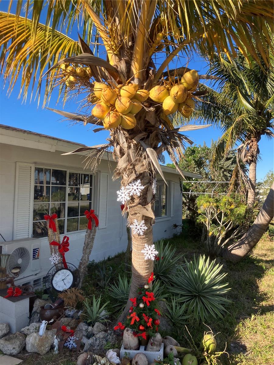 Image 12 of 57 For 517 Ravenna Street N