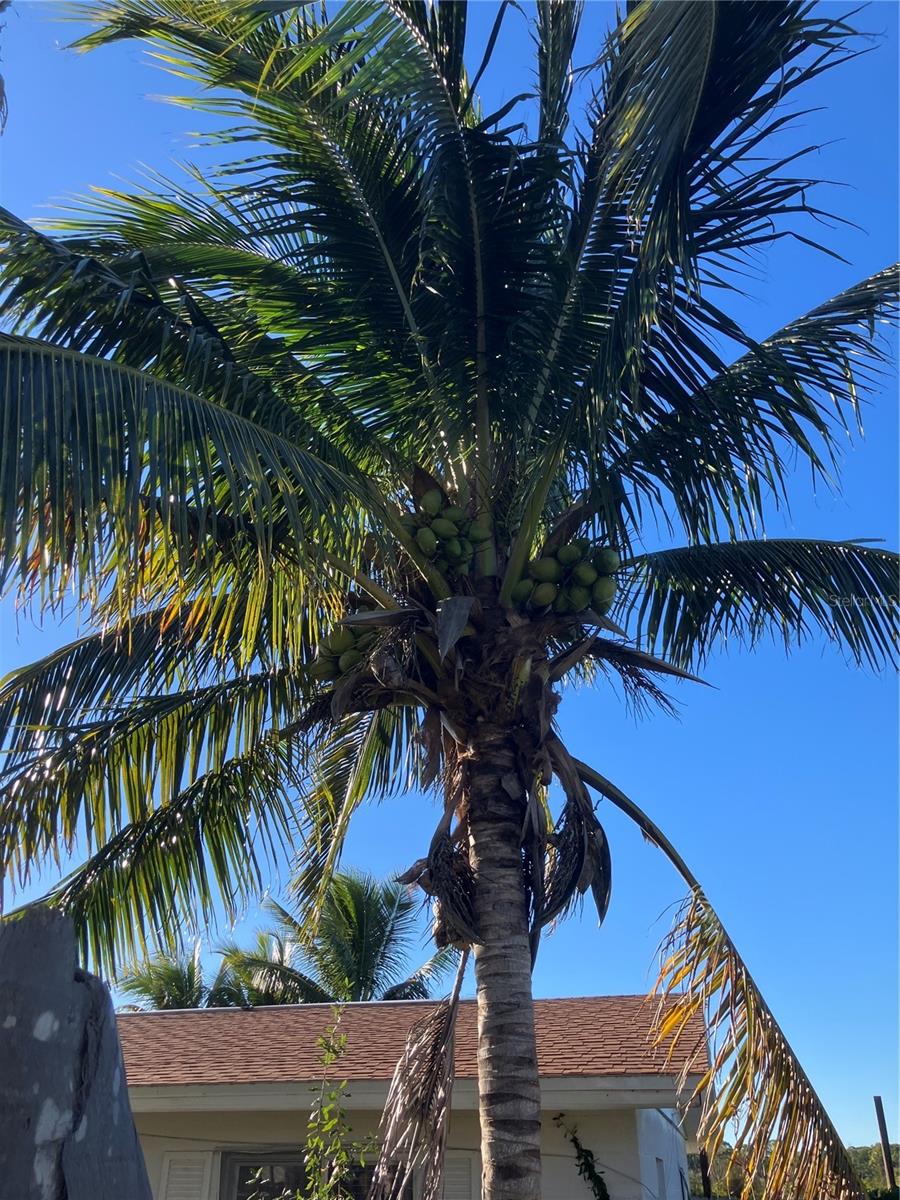 Image 43 of 57 For 517 Ravenna Street N