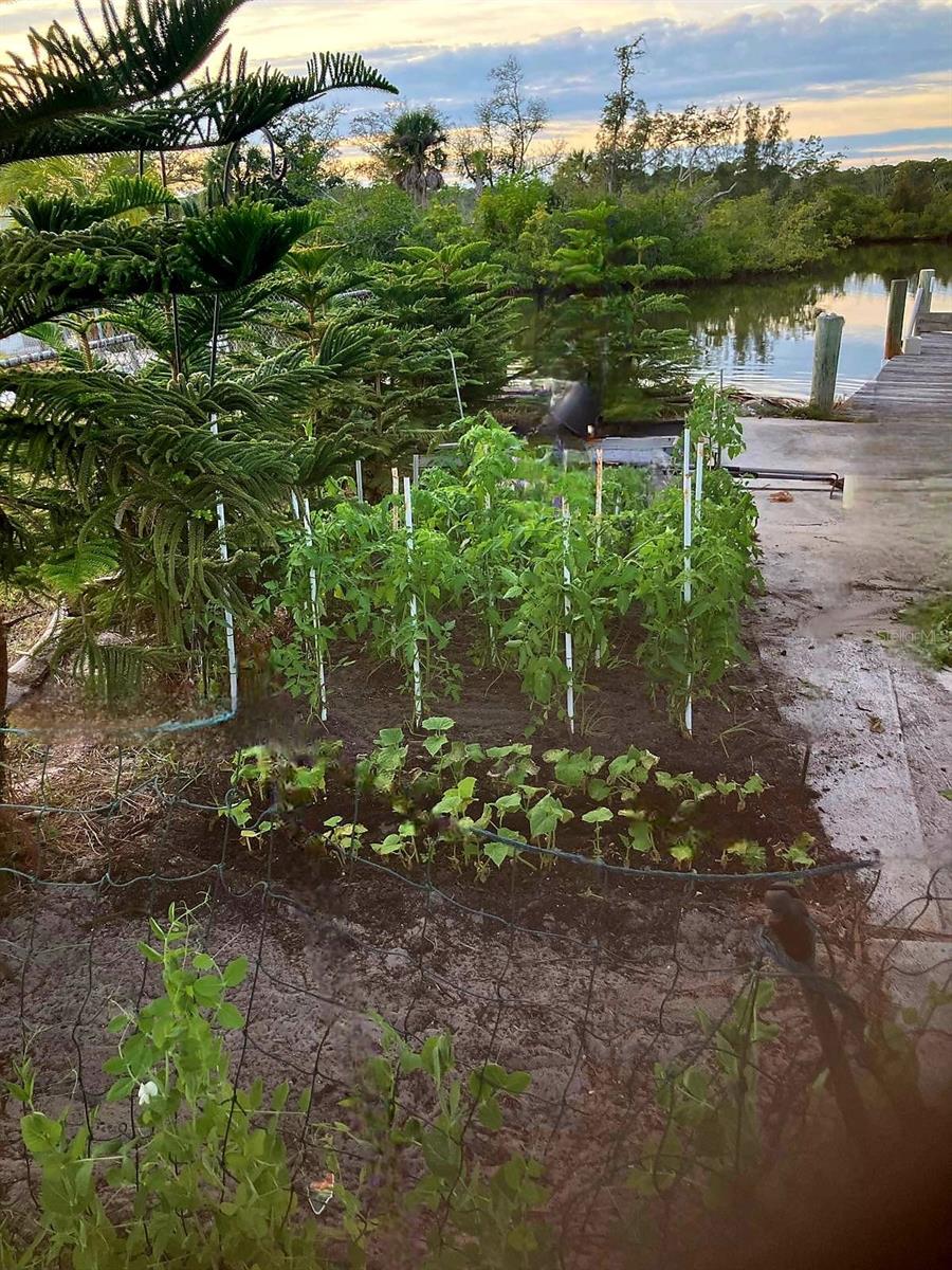 Image 46 of 57 For 517 Ravenna Street N