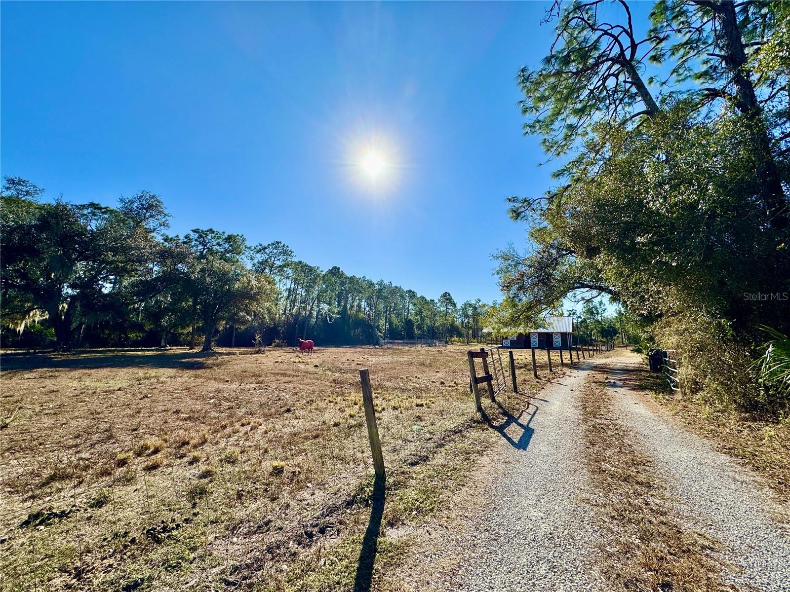 Image 8 of 85 For 3409 Elkrem Avenue