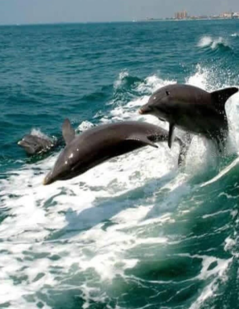 Image 67 of 77 For 949 Suncrest Lane