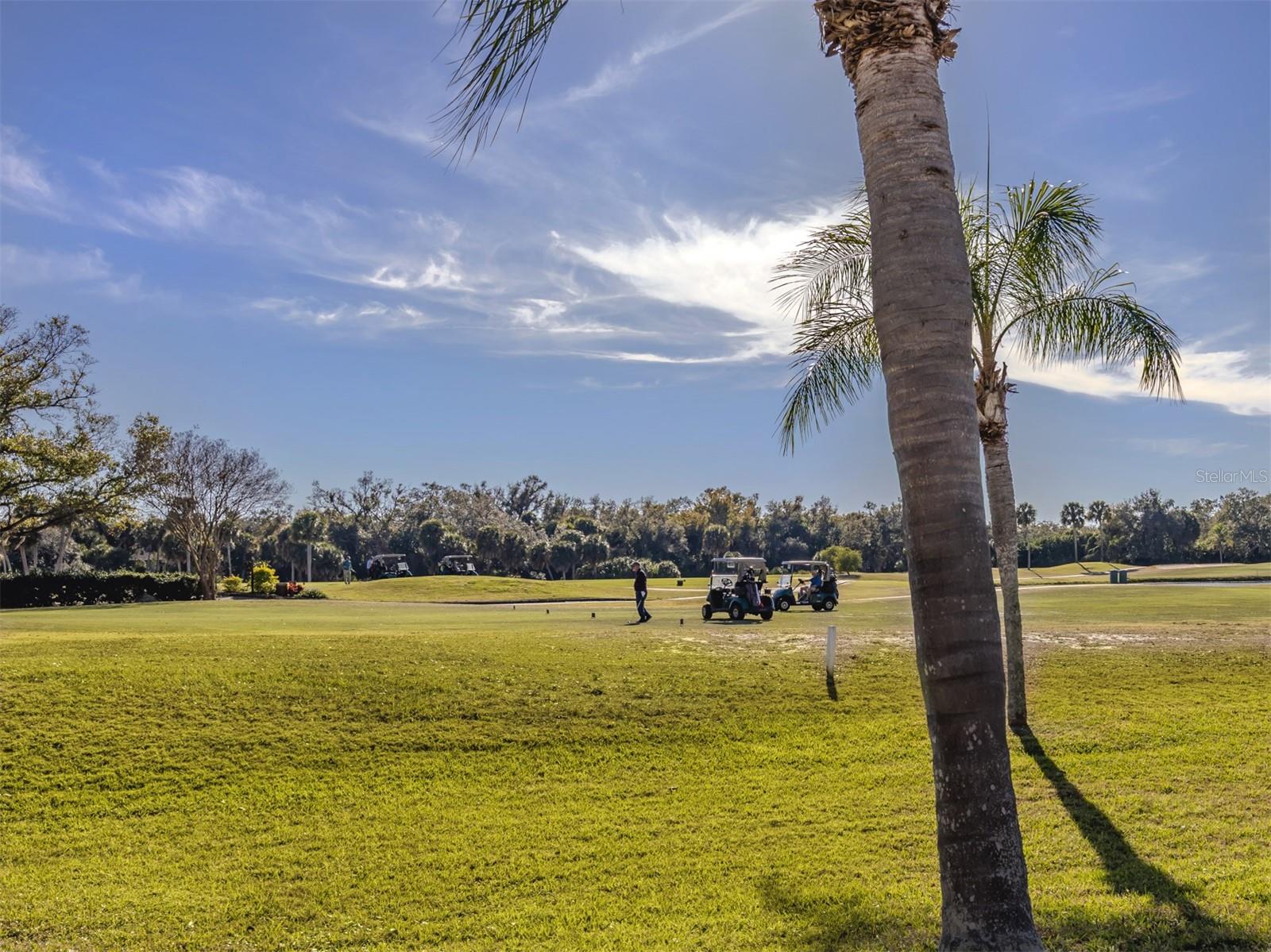 Image 25 of 57 For 1027 Capri Isles Boulevard 20