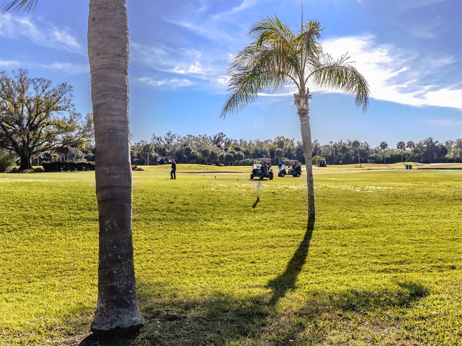 Image 26 of 57 For 1027 Capri Isles Boulevard 20