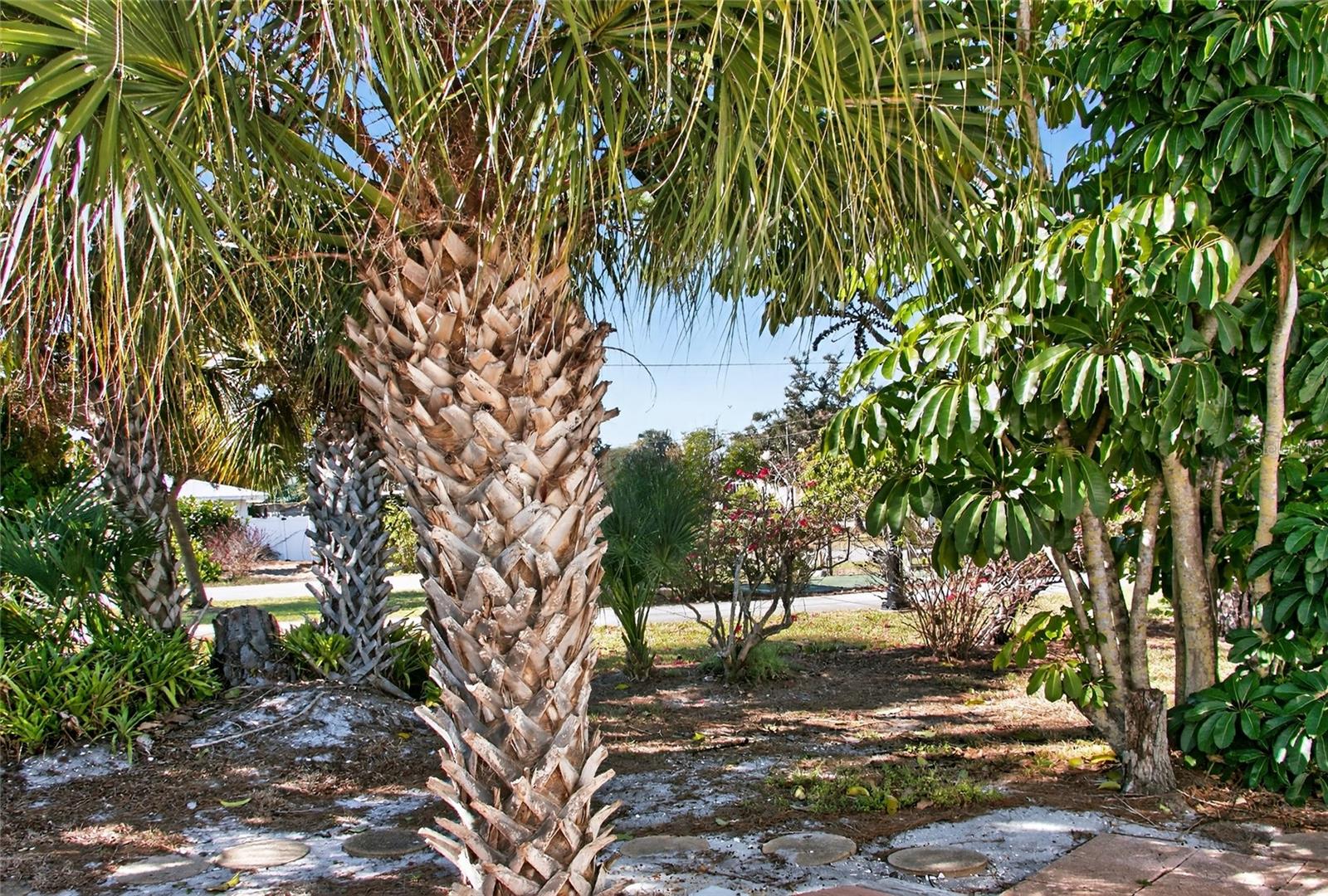 Image 34 of 35 For 703 Green Circle