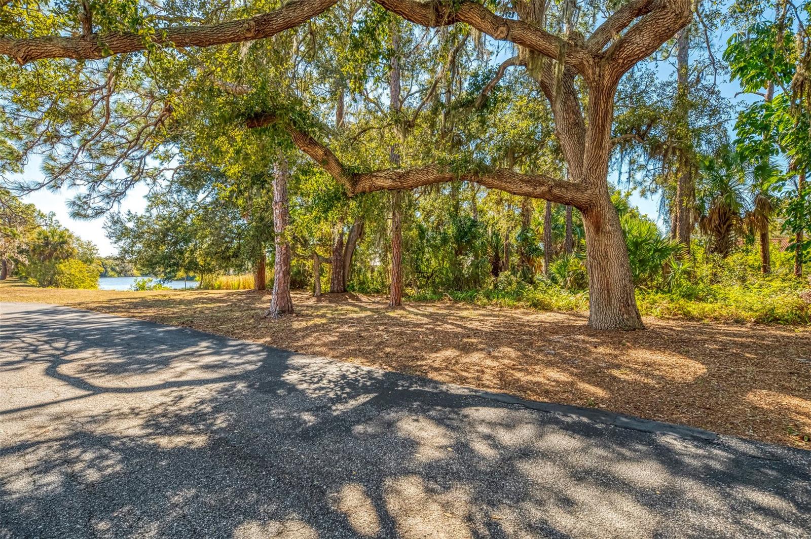 Image 5 of 39 For 510 Villa Park Drive 510