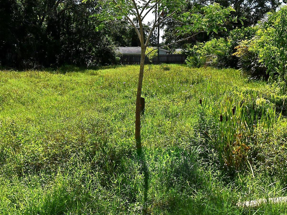 Listing Details for Olive Avenue, NOKOMIS, FL 34275