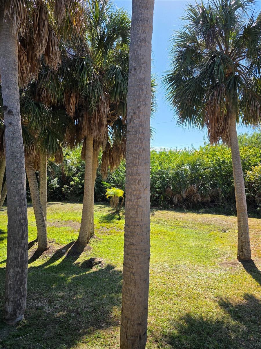 Image 23 of 24 For 9000 Griggs Road G