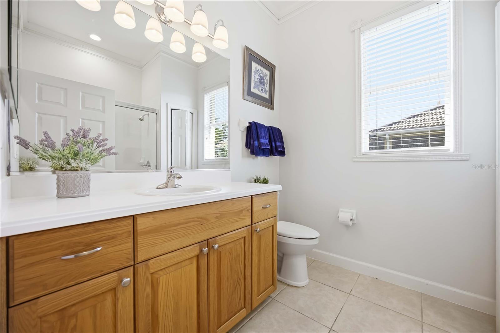 Image 30 of 100 For 441 Montelluna Drive