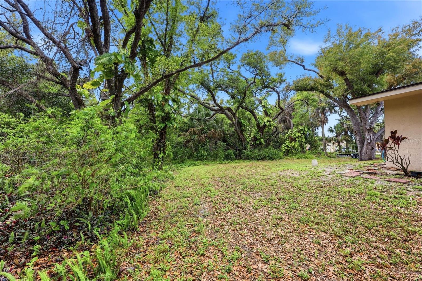 Image 32 of 42 For 491 Wisteria Road