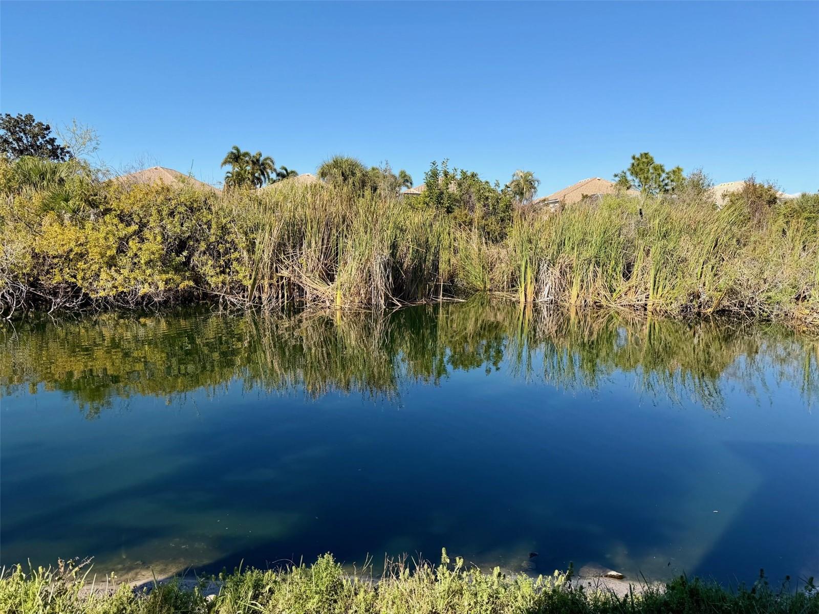 Image 27 of 34 For 1801 Auburn Lakes Circle 1