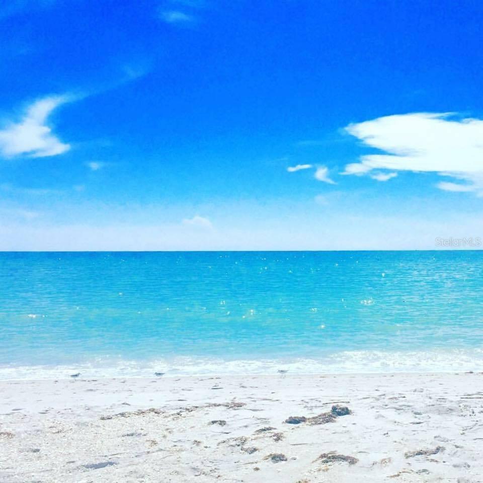 Image 58 of 79 For 1627 Del Monte Court