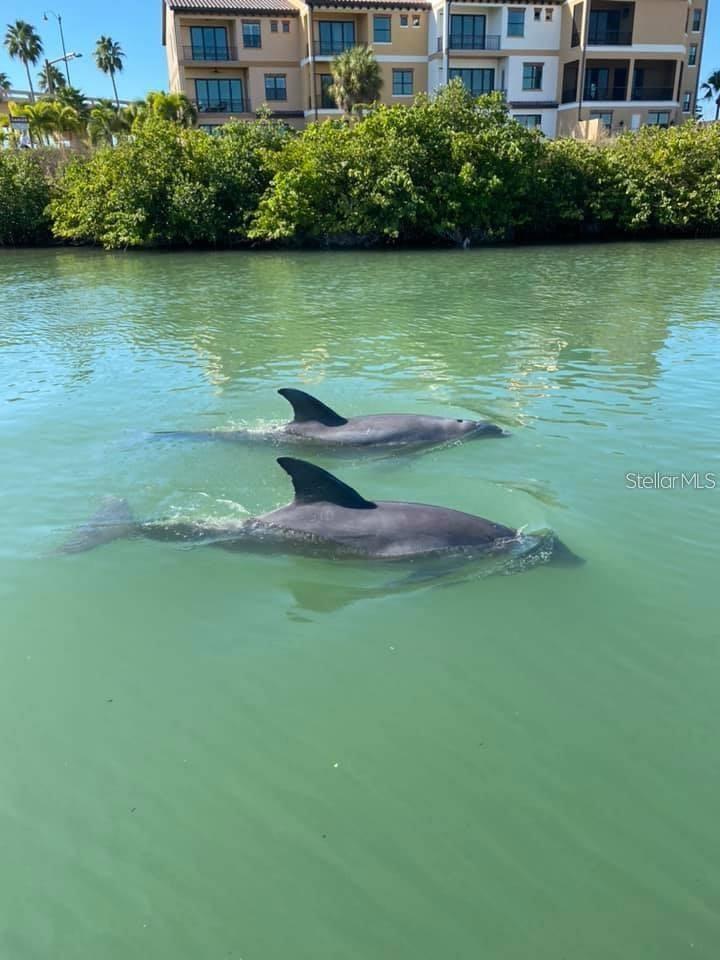 Image 68 of 79 For 1627 Del Monte Court