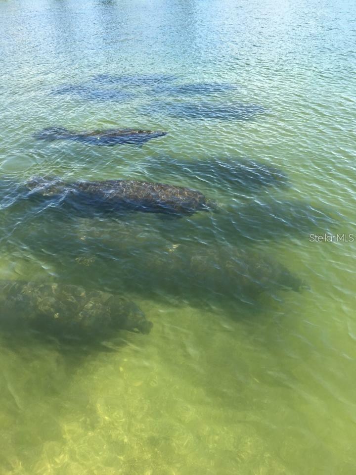 Image 69 of 79 For 1627 Del Monte Court