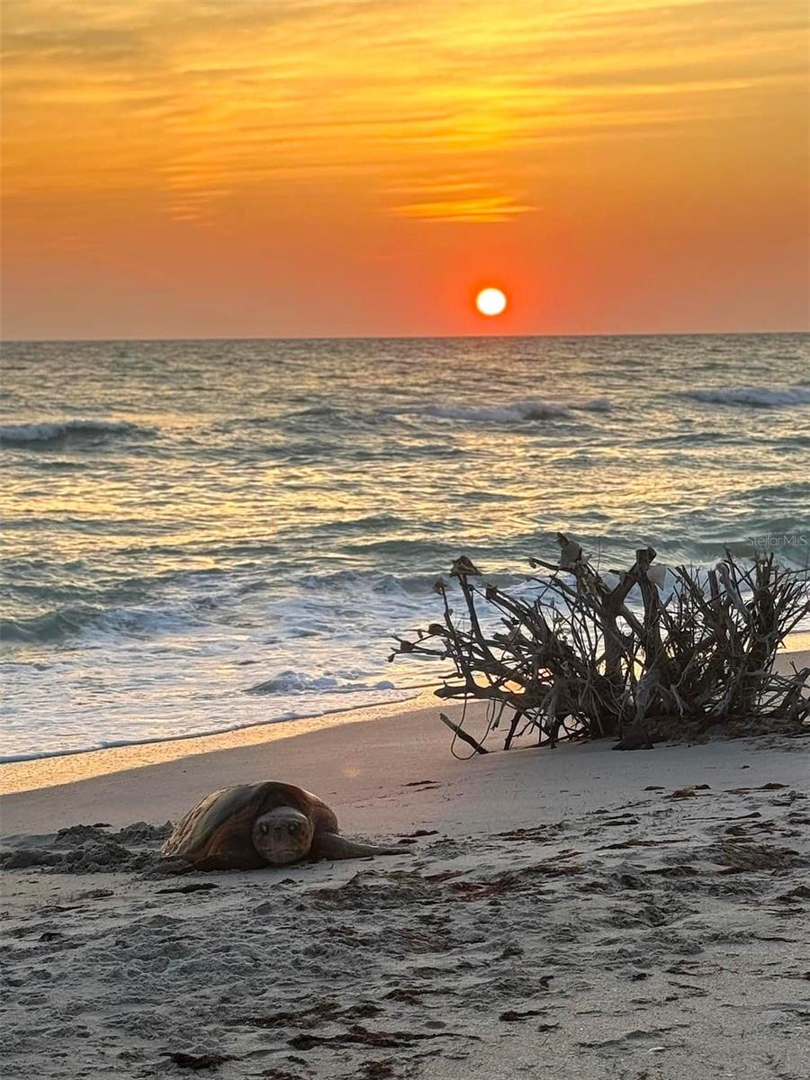 Image 74 of 79 For 1627 Del Monte Court