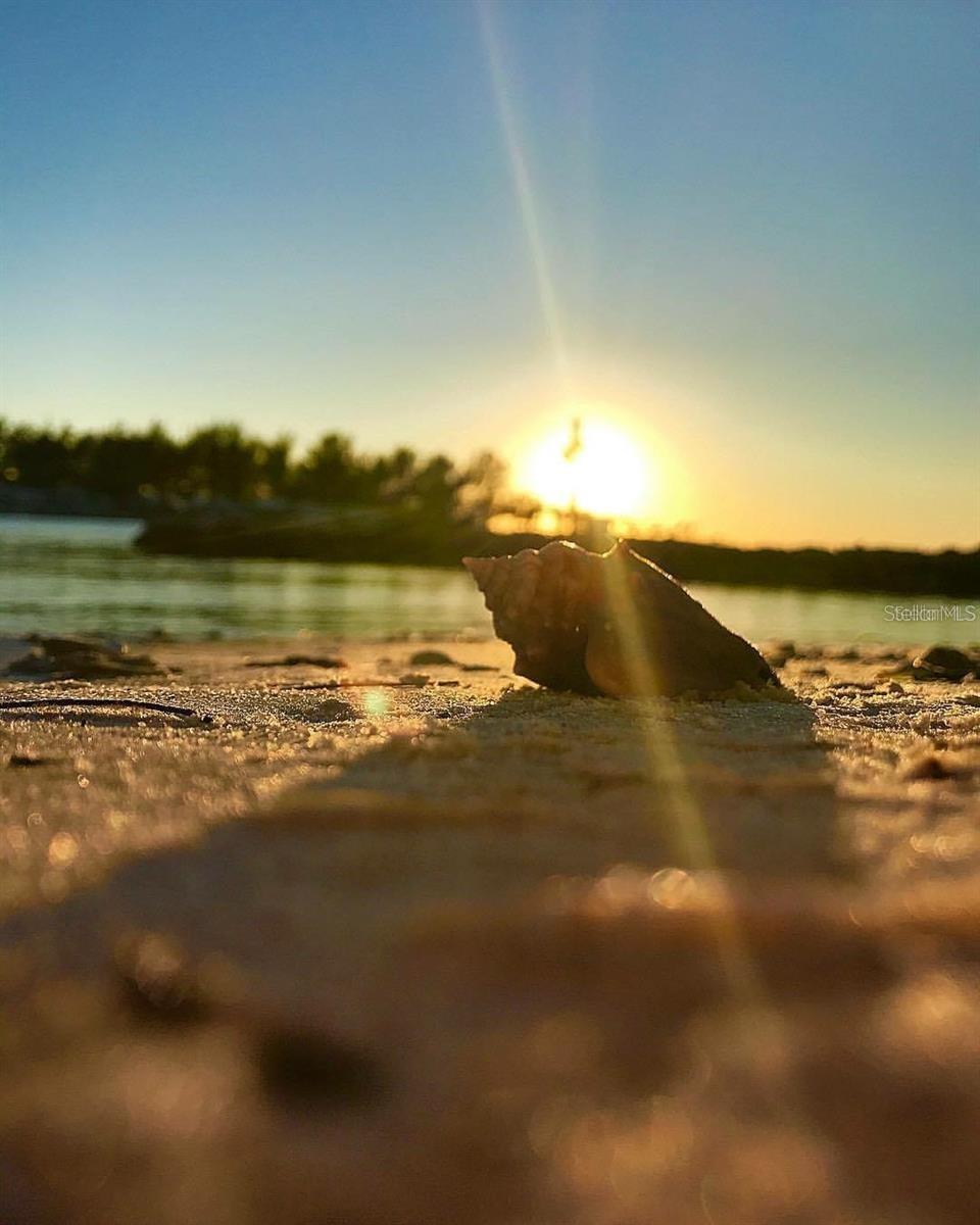 Image 75 of 79 For 1627 Del Monte Court