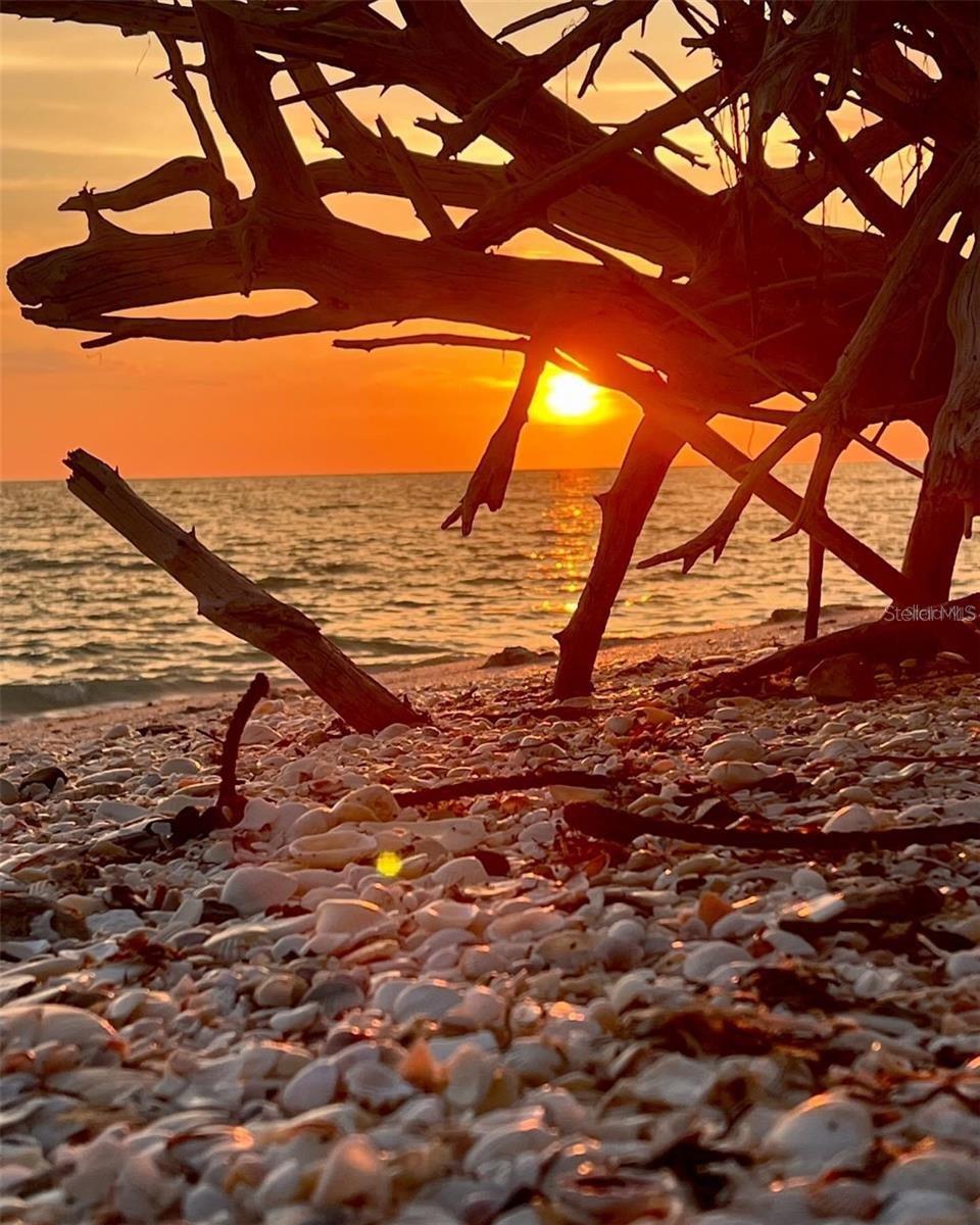 Image 76 of 79 For 1627 Del Monte Court