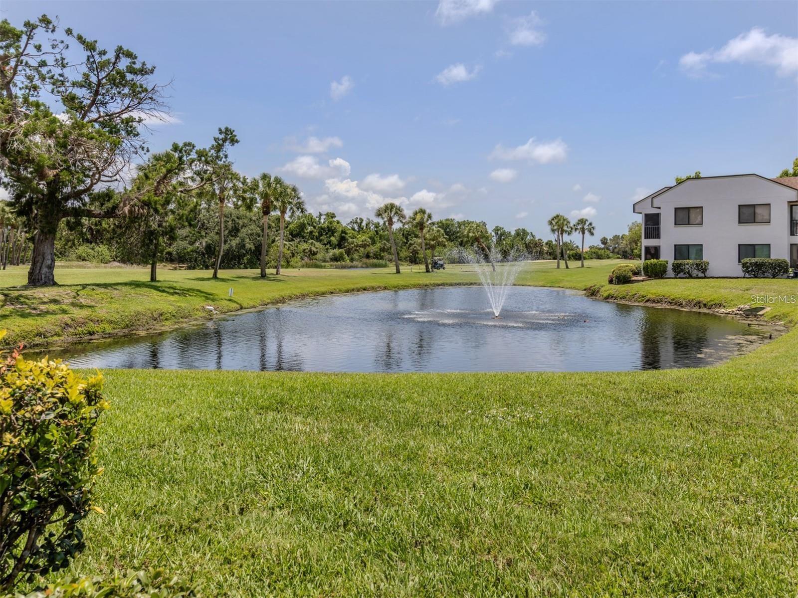 Image 31 of 35 For 800 Capri Isles Boulevard 236
