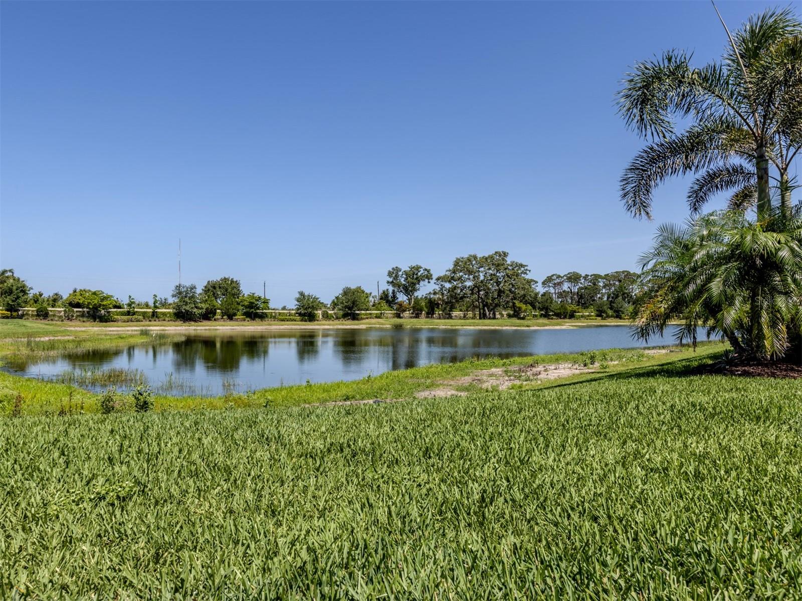 Image 28 of 82 For 5853 Semolino Street