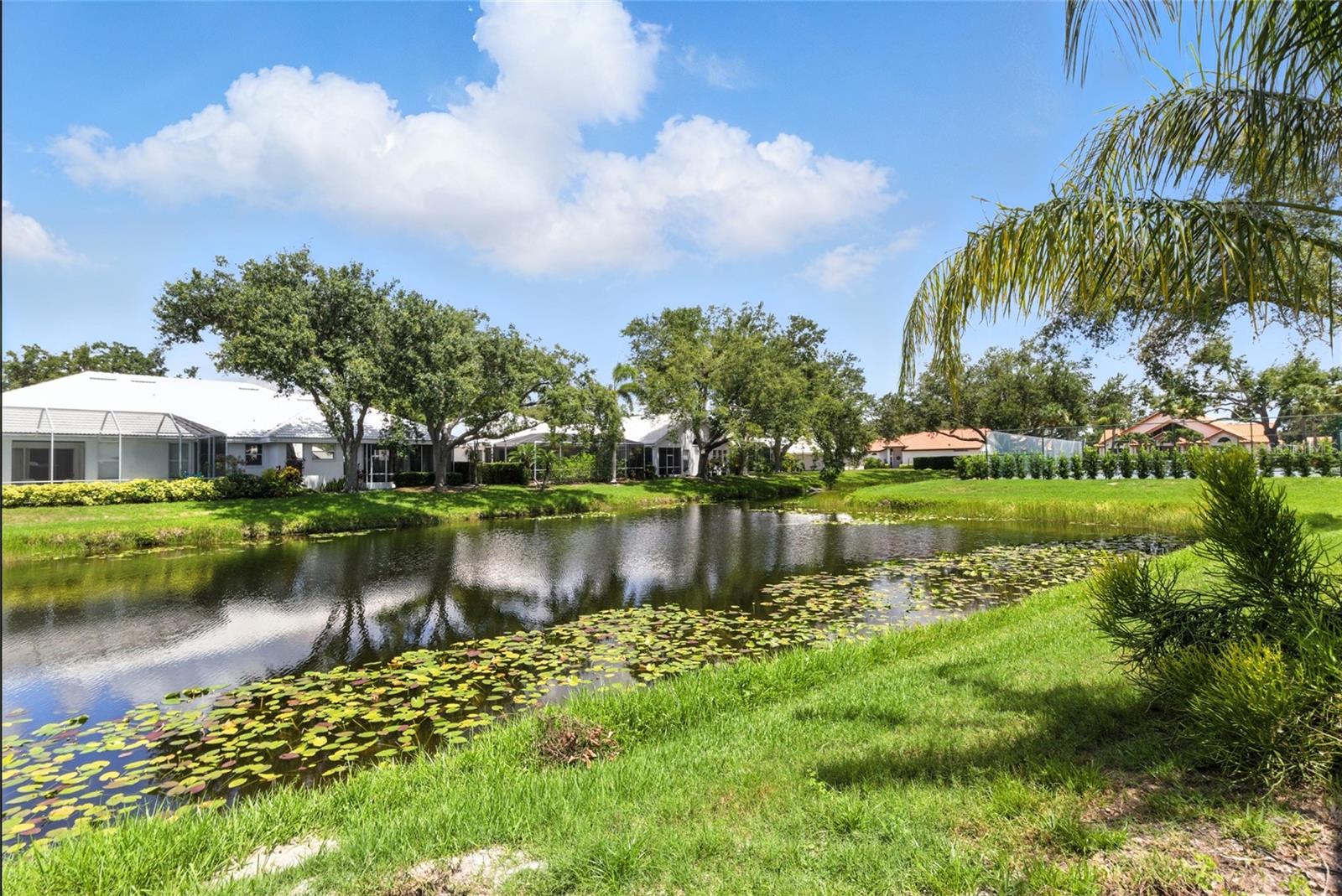 Image 12 of 56 For 1234 Harbor Town Way