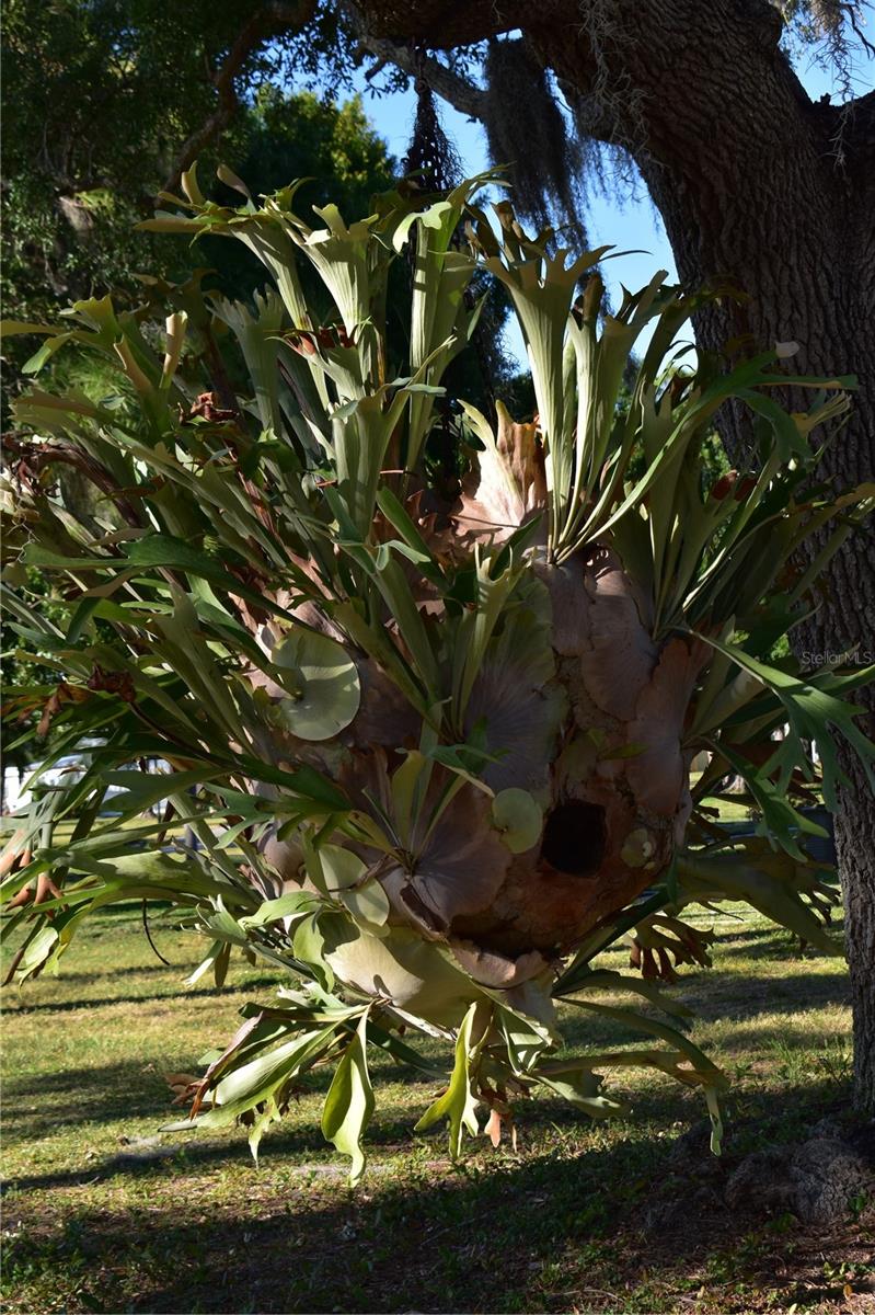 Image 10 of 20 For 6805 Anapa Court