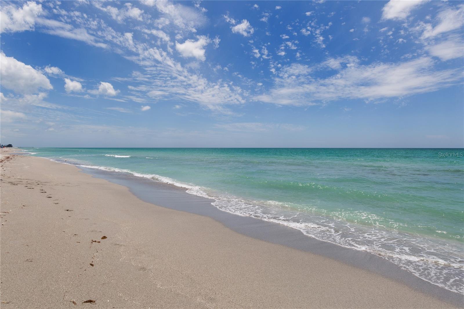 Image 49 of 54 For 623 Pond Willow Lane