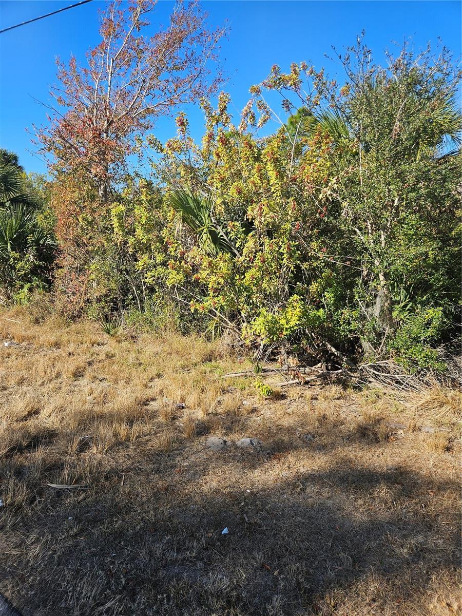 Image 10 of 12 For 553 Hoffer Street