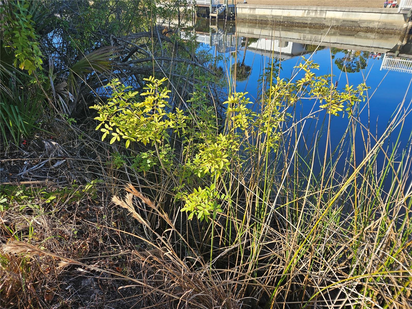 Image 5 of 12 For 553 Hoffer Street