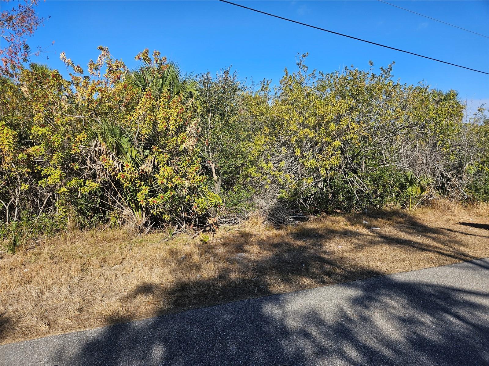 Image 6 of 12 For 553 Hoffer Street